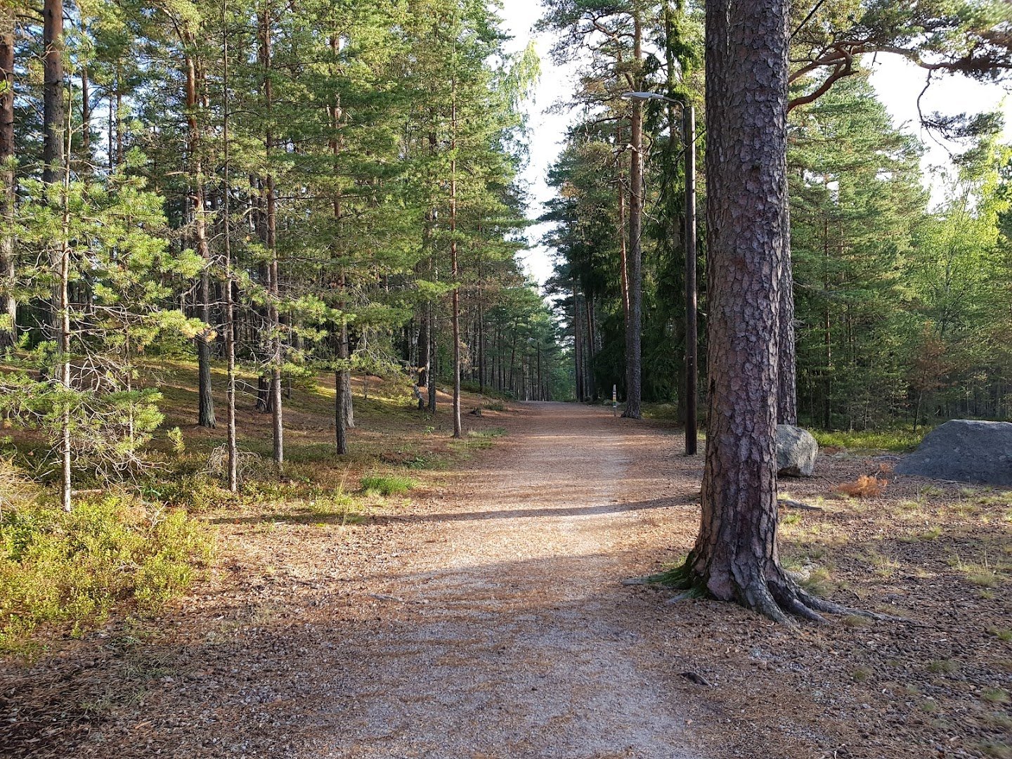 Karlslunds Motionscentral - Örebro, Haga