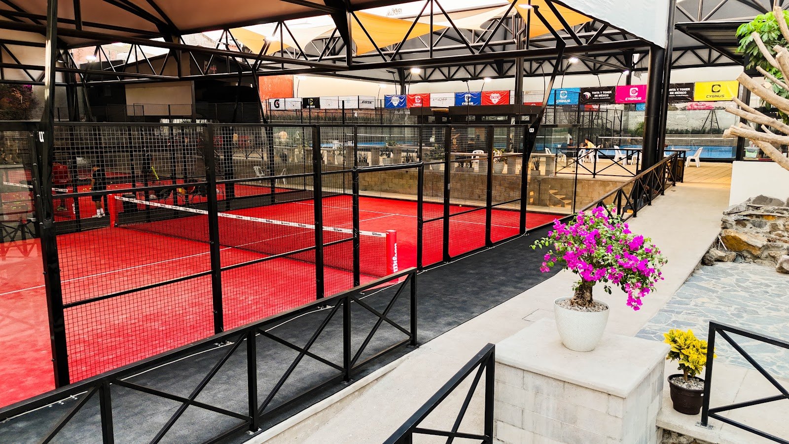 Padel Cygnus, Cuernavaca
