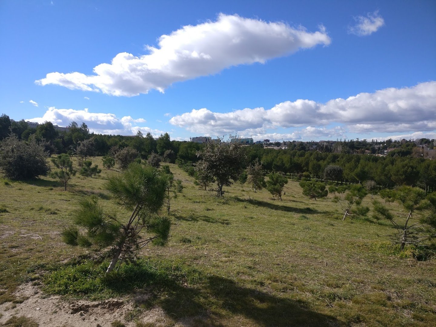 Parque Conde de Orgaz, Madrid