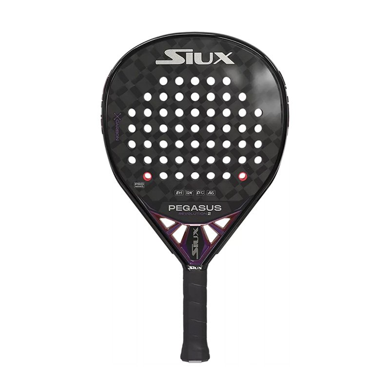 Pegasus Revolution 2